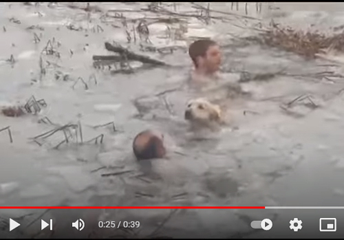 Mi Amigo el PerroLa Guardia Civil rescata a un perro de un lago helado